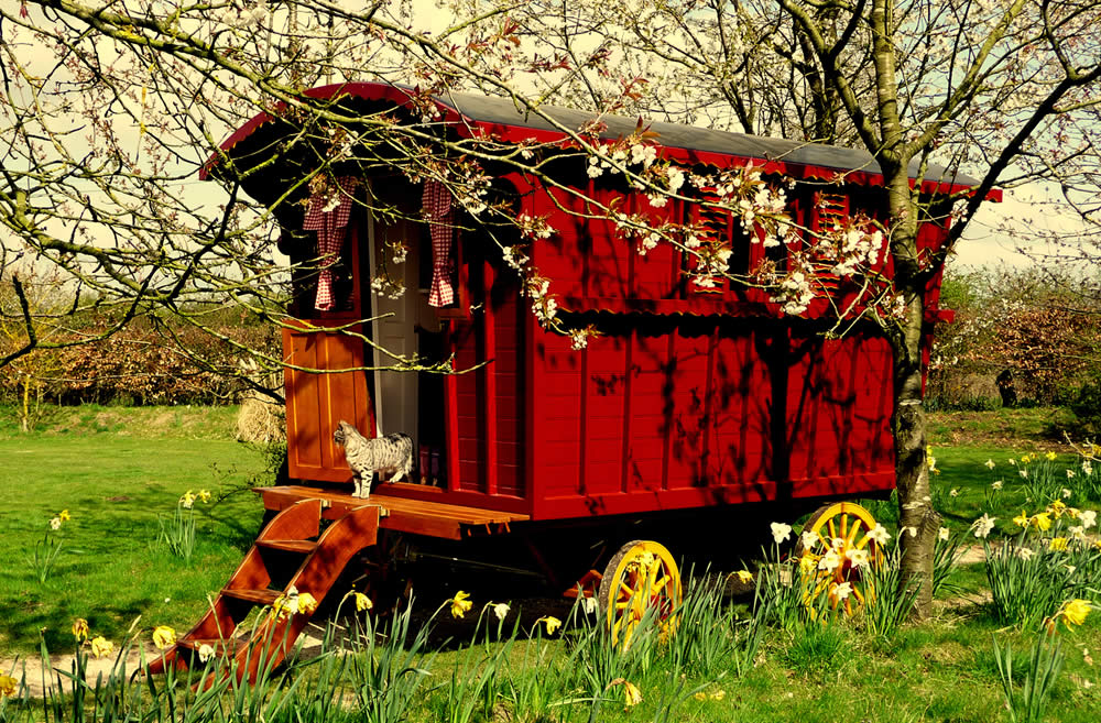 Gypsy Caravan for sale